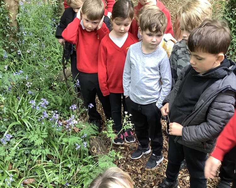 Image of Forest School May 