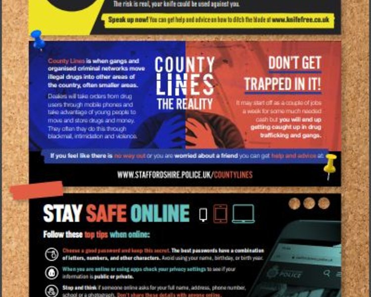 Image of Summer Safety digital flyer from the Police 