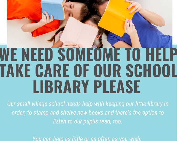 Image of Help wanted- school library in need of TLC