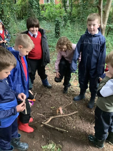 Image of Forest school 