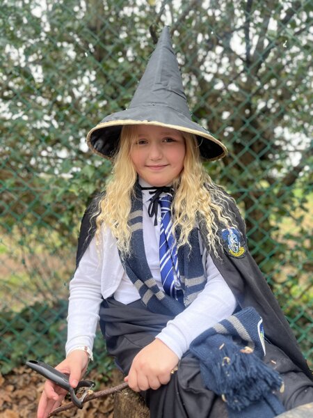Image of Harry Potter Forest School 